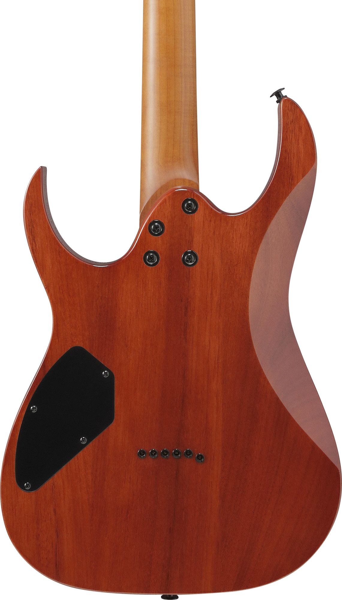 IBANEZ GRGR221FA-TDK GIO RGR E-Gitarre - Transparent Indigo Black