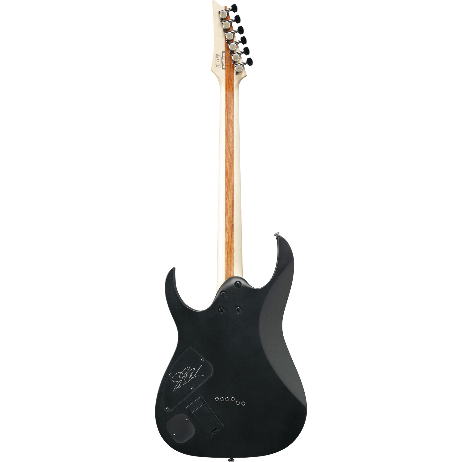 IBANEZ JBBM30-BKF JB Brubacker Signature Black Flat