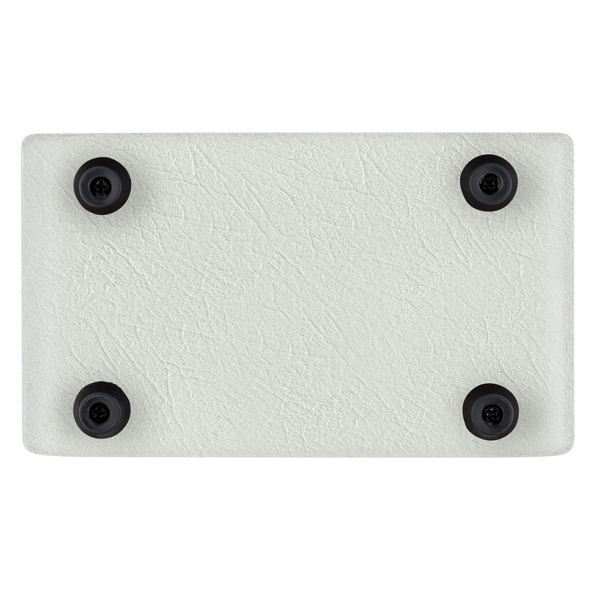 ORTEGA PTWO Limited Verstärker für Akustikgitarre White